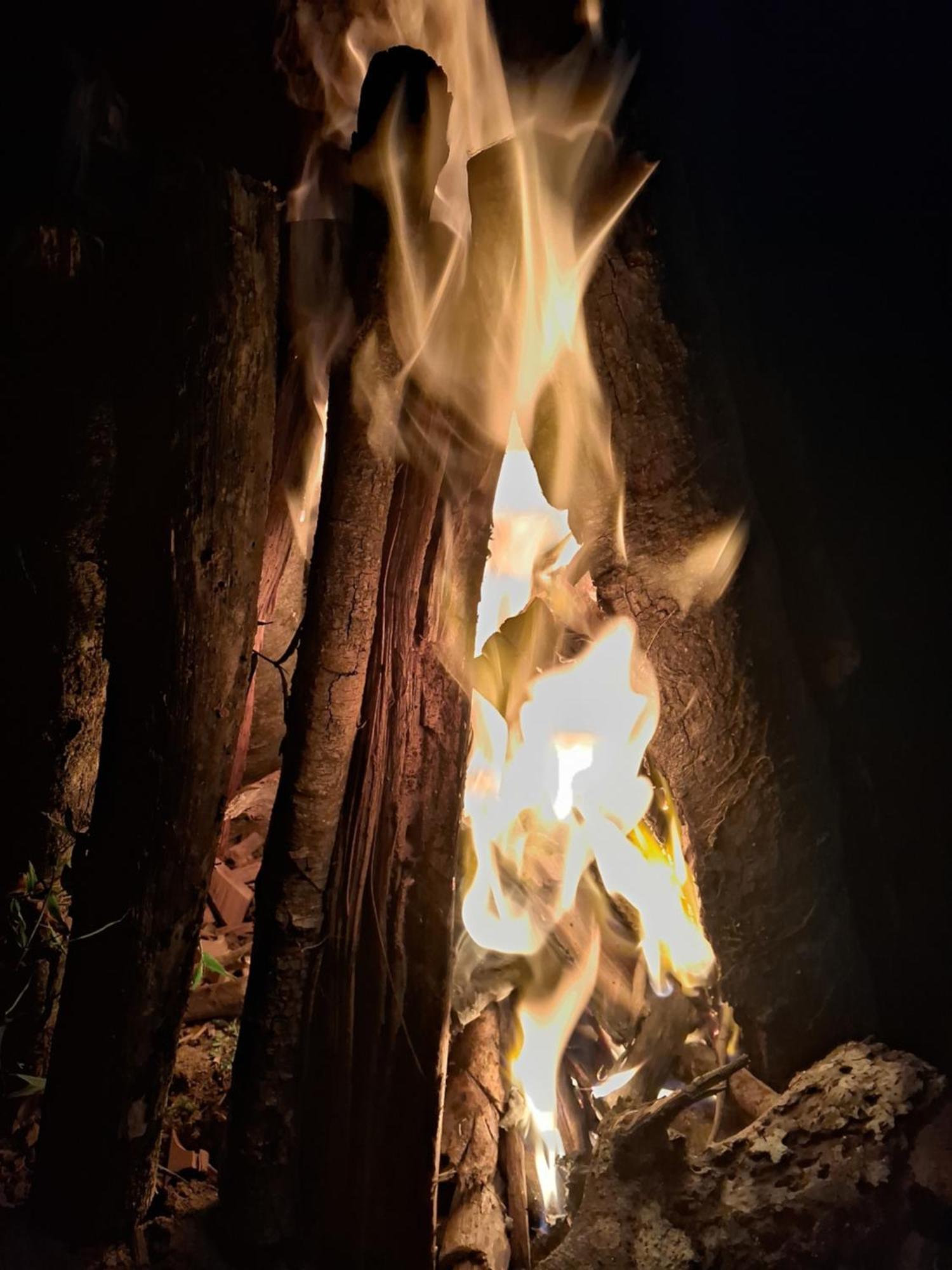 Coorg Teakwood Treasure Homestay Madikeri Dış mekan fotoğraf
