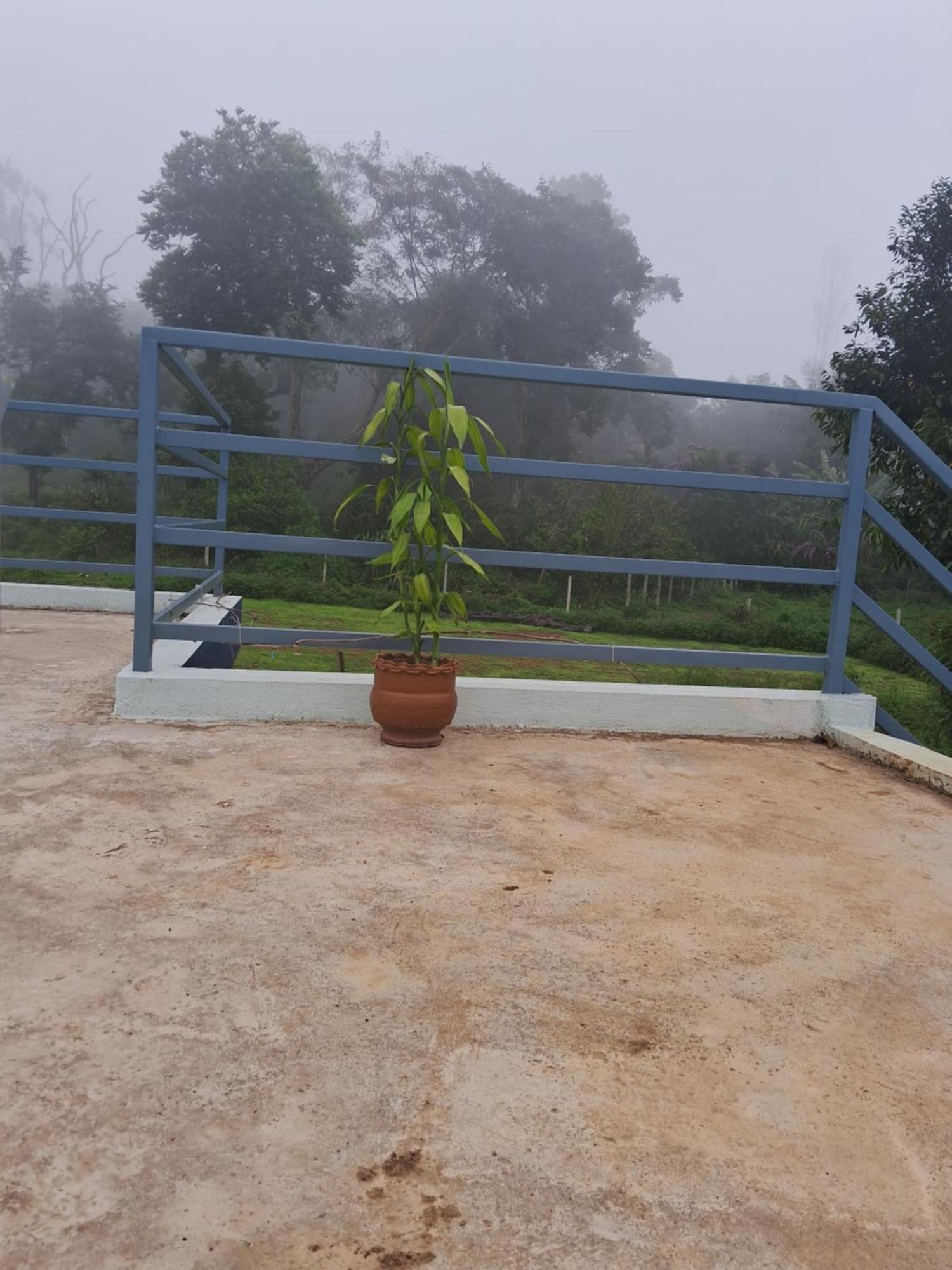 Coorg Teakwood Treasure Homestay Madikeri Dış mekan fotoğraf