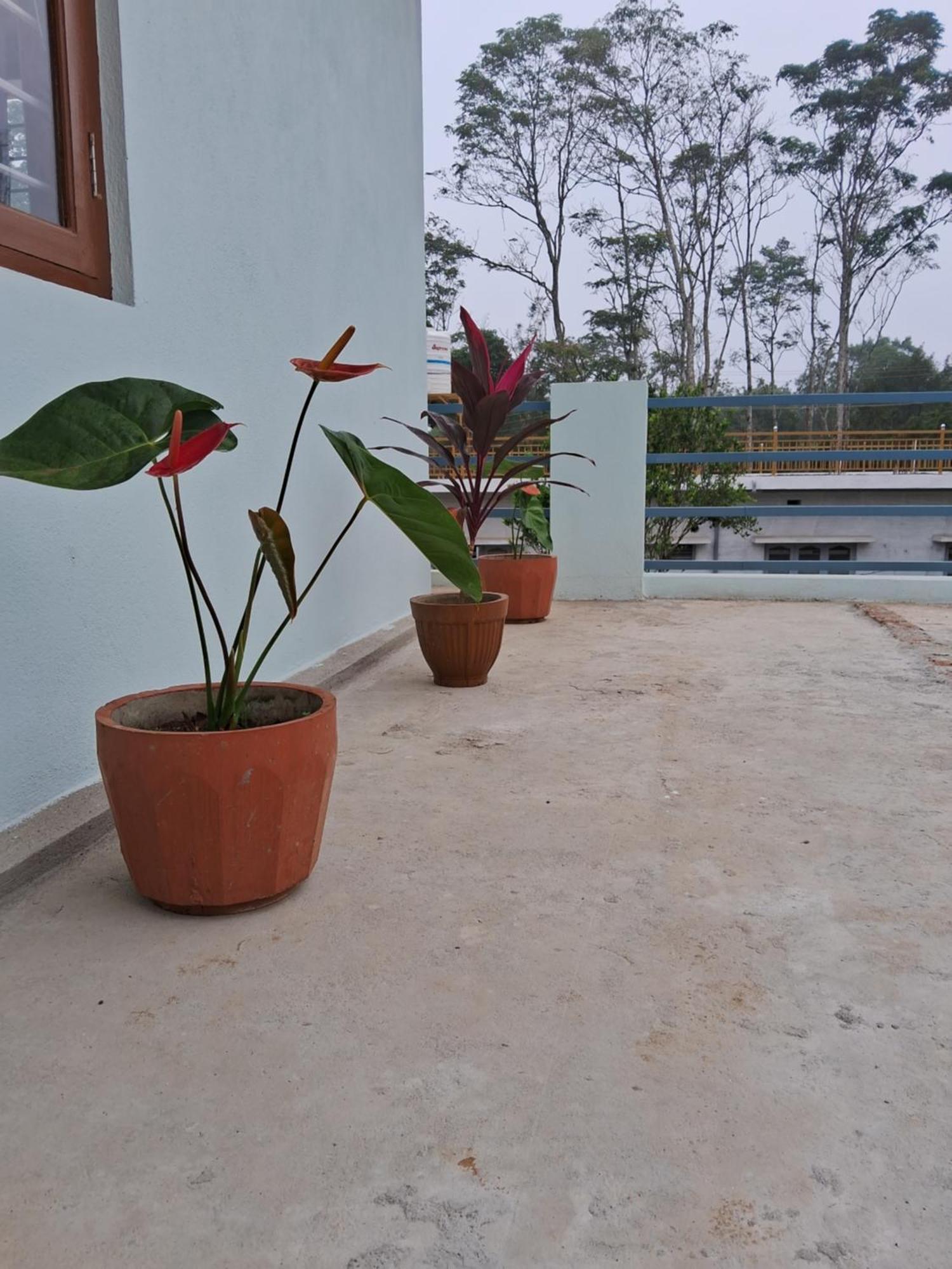 Coorg Teakwood Treasure Homestay Madikeri Dış mekan fotoğraf